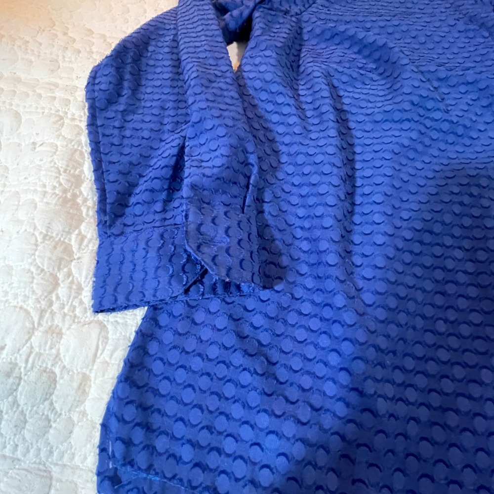 Talbots Woman Petite Blue Textured Dot‎ V Neck Long Sleeve Blouse Top XP - Picture 8 of 8